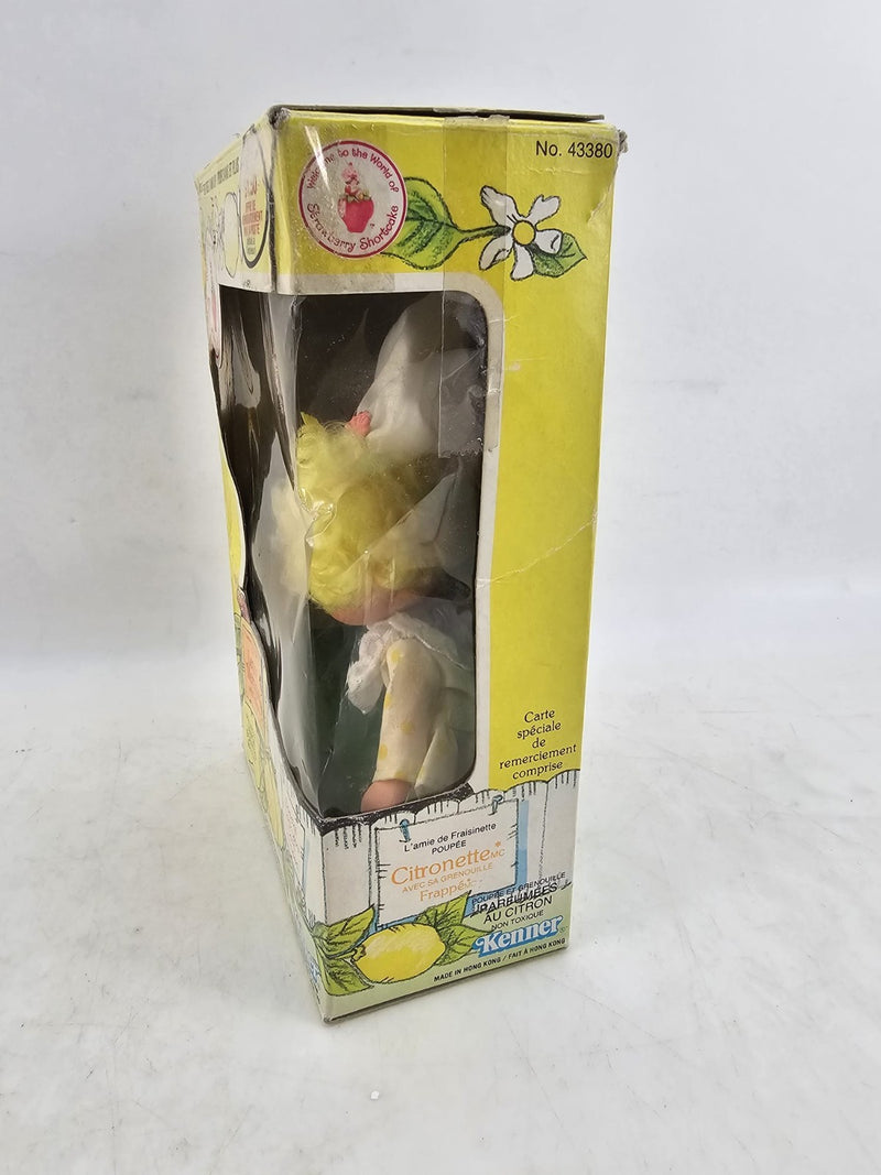 VTG AG Kenner Strawberry Shortcake Lemon Meringue Doll #43080 MIB Hong Kong 1980