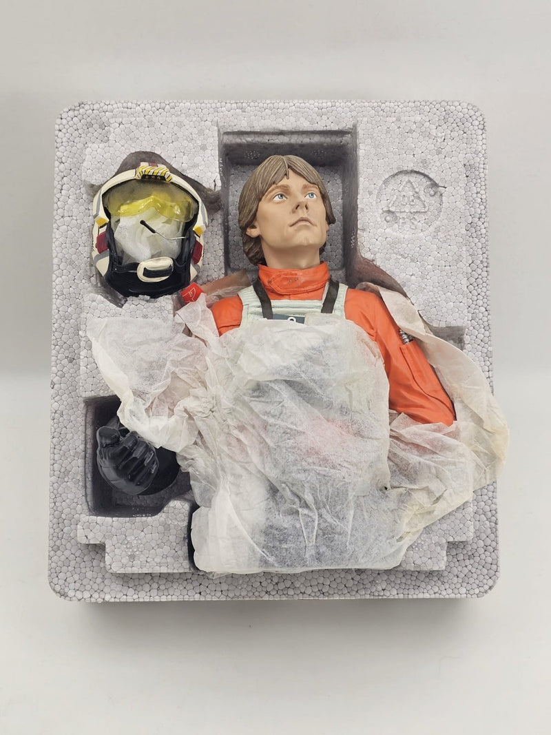 Star Wars Luke Skywalker - Gentle Giant X-Wing Pilot Bust