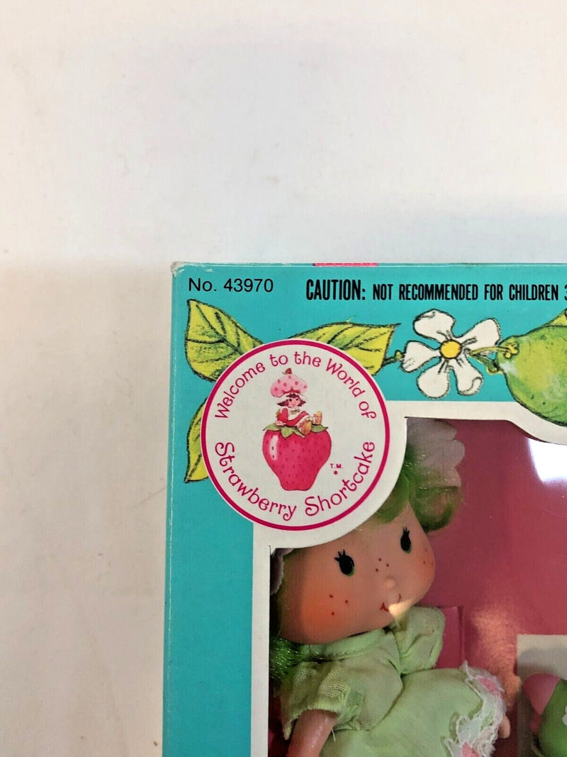 Lime Chiffon Doll - Strawberry Shortcake - Open Box - 1982 Kenner 43970