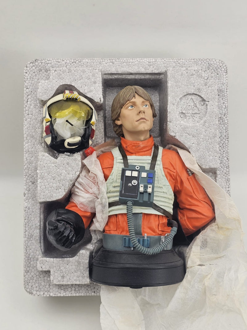 Star Wars Luke Skywalker - Gentle Giant X-Wing Pilot Bust